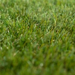 Césped Artificial en Rollo Gardiun Greenhill Pro I 30 mm 500x100 cm - Efecto Memoria, Alta Resistencia y Aspecto Natural para Jardines y Terrazas