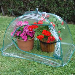 Invernadero Automontable para Plantas Gardiun Bosco 103x69x75 cm - Protector Paraguas para Jardín y Balcones