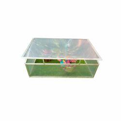 Invernadero Gardiun Jaca I 108x56x40 cm - 1 Agua - Policarbonato Transparente - Protección para Plantas y Cultivos en Exterior