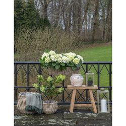 Set di 2 ceste, 38 x 38 x 34 cm, in rattan naturale | Collezione Pulo