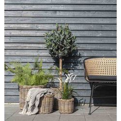Set di 4 cestini, 40 x 40 x 35 cm, in rattan naturale | Collezione Bogor