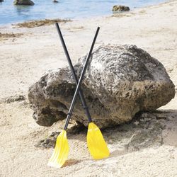 Ensemble de Deux Rames Bestway 124 cm