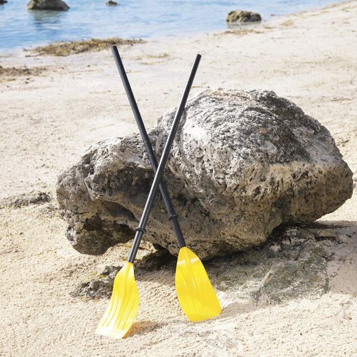 Ensemble de Deux Rames Bestway 124 cm